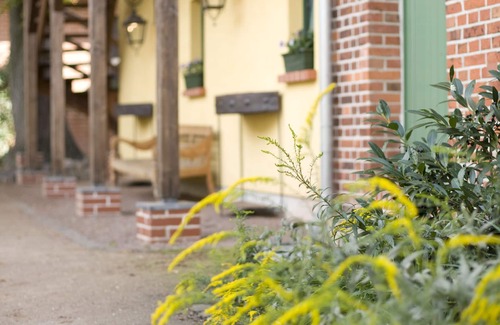 Oranienbaum-Worlitz Hotel | Zum Hauenden Schwein