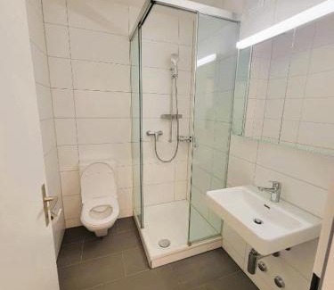 Gewerbeschule Apartment | Zurich City Center Apartments next to Zurich HB Main Train Station LA - Self Checkin