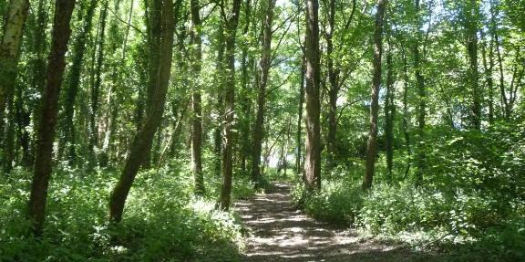Chambre d'hôte en Vallée du Loir - Elevage des Rosiers