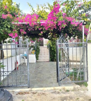 σπίτι - αγρόκτημα - Δ Γεωργά Χατζηράση οδός Χατζηράση