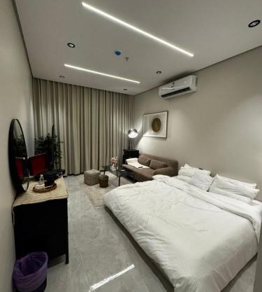 استديو فاخر دخول ذاتي