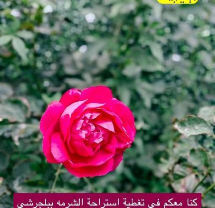 استراحة الشرمه ببلجرشي