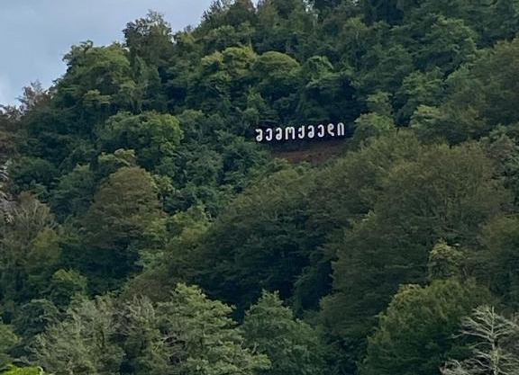 გურული ეზო*Gurian yard