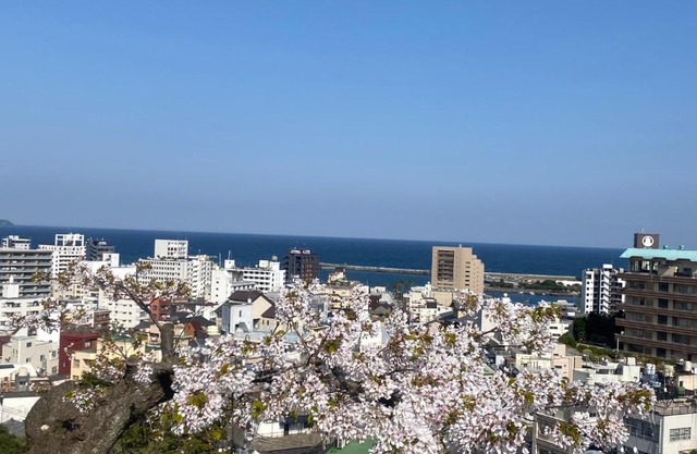 ヴィラマーレ熱海（Villa Mare Atami）