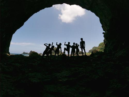 花田綠島