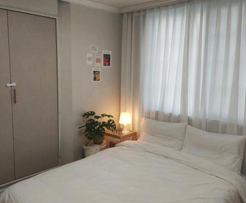 청소비x 남포동 자갈치 부산역 송도 가족여행