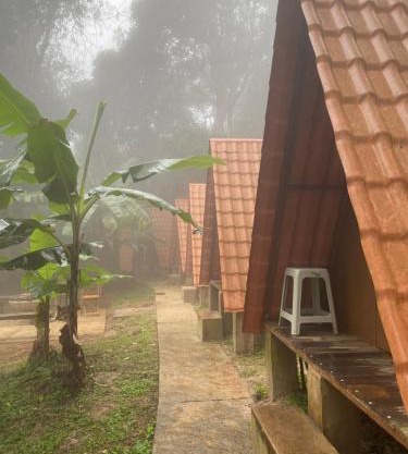 04- Cachoeiras do Pinga, Tianguá