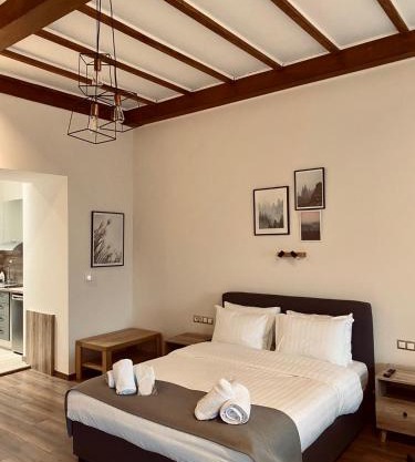 11 Luxury Apartments Metsovo