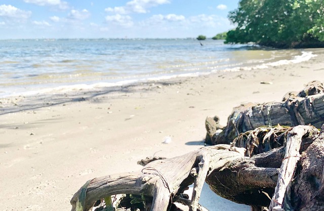 2/2 blocks from the water, bike ride to the beach THE FLORIDIAN