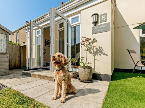 2 Bed in Hayle 92505