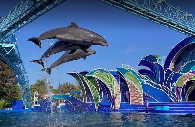 2 Convenient Units! Within Walking Distance of Old Town San Diego State Park!