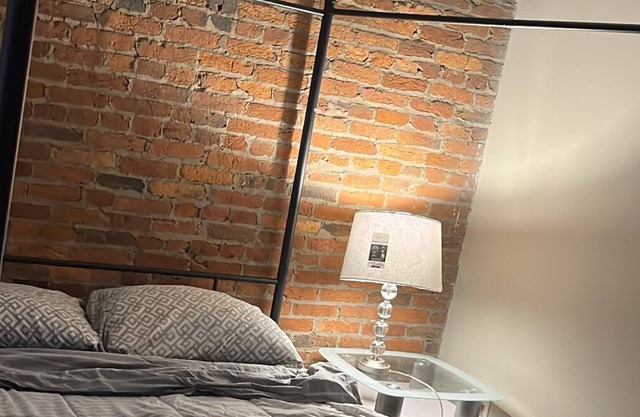 2 floor luxury appt Camden yards rooftop , gym