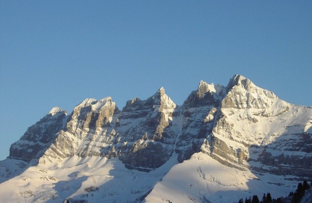 2-room aptmt in super ski area Portes du Soleil with a view of Les Dents du Midi