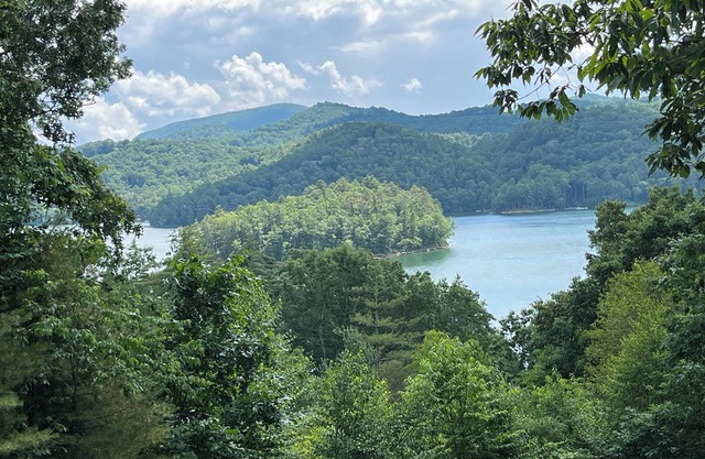 2 Views! Front view of Lake Glenville & back view of Christmas Tree farm!