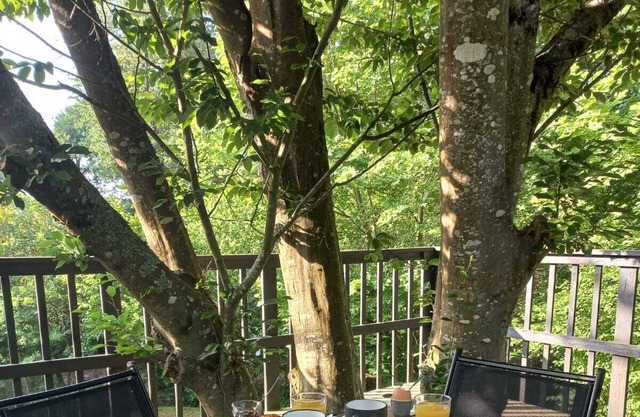3-bedroom cottage (8 people) in the Landes overlooking a waterfall and stream