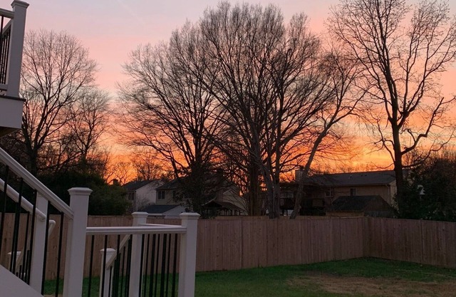 4 bdrm, entire house - great neighborhood - south Alexandria