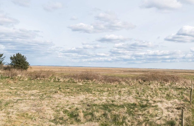 4 person holiday home in Fanø