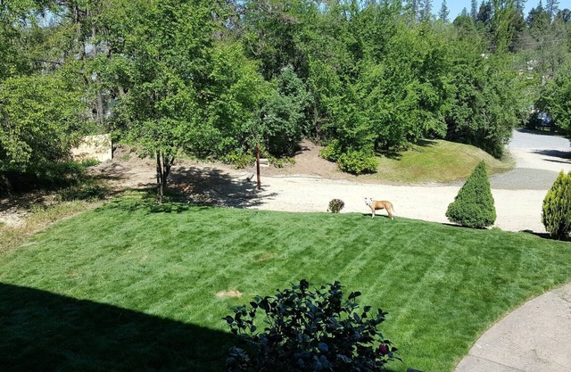 5 rooms with private baths