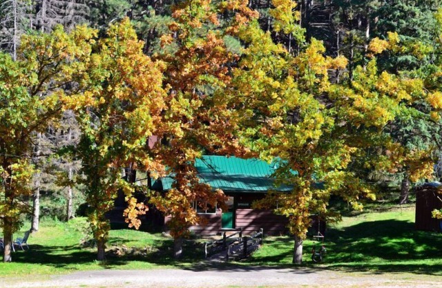 A 2 bedroom, 2 bath cabin full of beauty and custom-built character