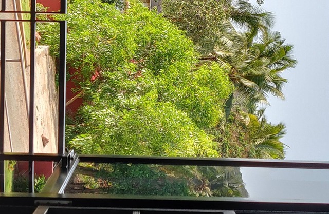 A brand new studio near Palolem Beach South Goa.