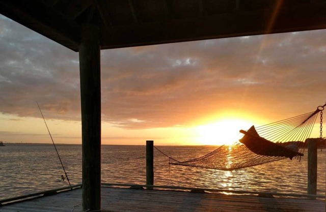 A Cottage with a View