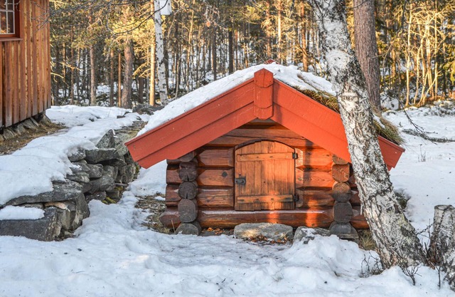 A cozy rural cottage surrounded by beautiful nature and some outdoor activities.