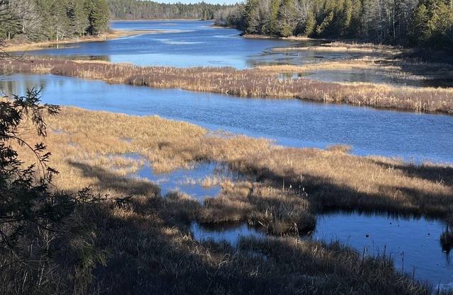 A perfect getaway in beautiful Maine