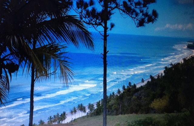 A rustic house, for nature lovers.