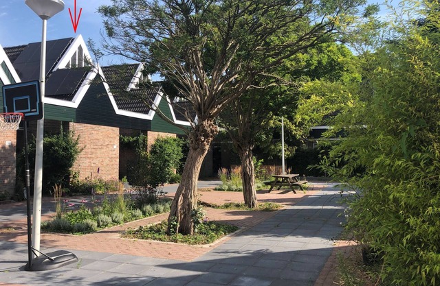 A stylish and comfortable family home with garden