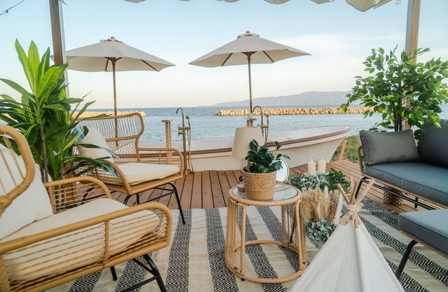 A310to Dog: Sakashima Dog Resort