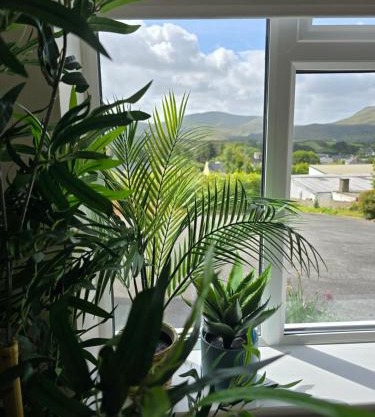 Abbey Lodge - Room 2