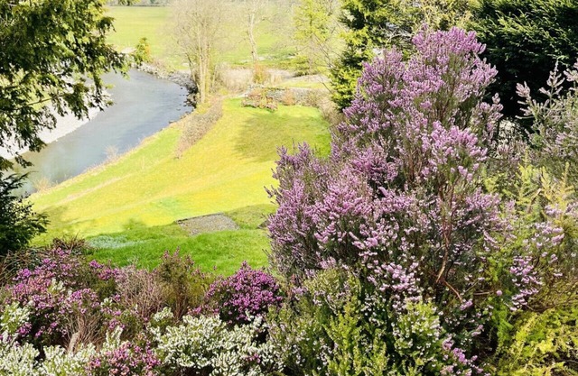 Aberhiriaeth Hall - Five Bedroom House, Sleeps 12