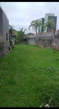 Acampamento Aloha solemar