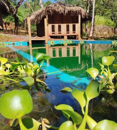 Adama Eco Farm