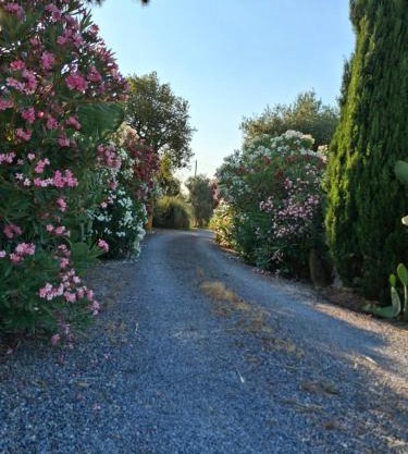 Agriturismo podere 329