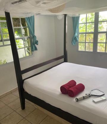 Akunamatata Guest House Grand Case