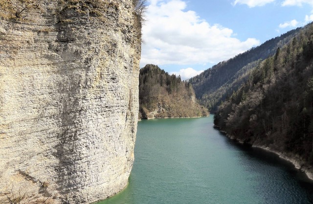 "Al Belvedere" home in the greenery of the Belluno Dolomites Park.