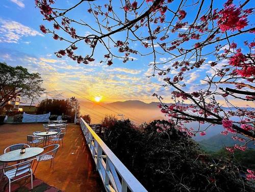 Alishan Tea Garden B&B