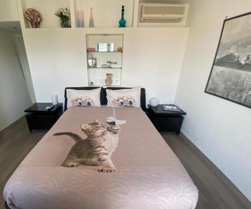 Alloggio Turistico Roberta San Pietro