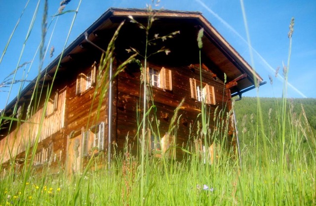 Almhütte Gorgasser