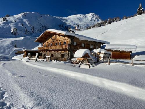 Alpine pasture in the Zillertal mountains