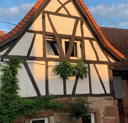 Alte Scheune Birkweiler