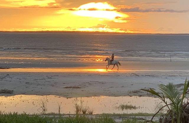 Amazon Flowmove retreat centre in Algodoal