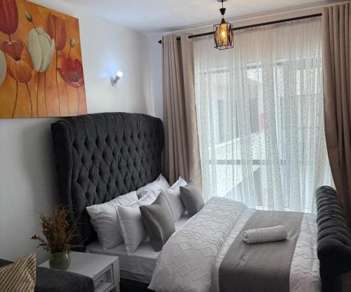 amu cozy studio apartment in fedha nairobi