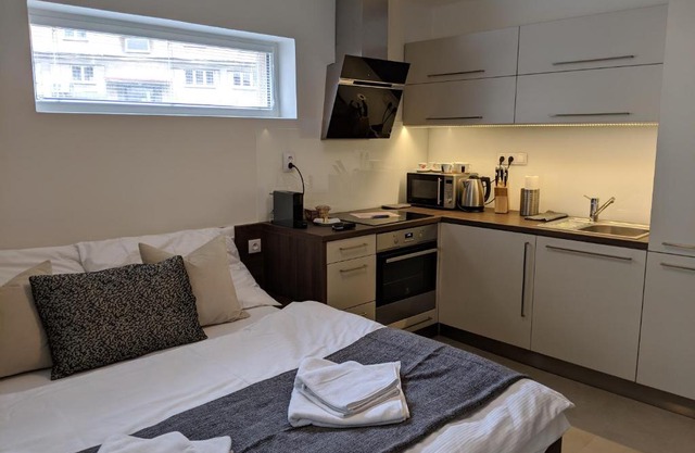 AP10 - Apartments 4U Březinova "Overnight Simply"