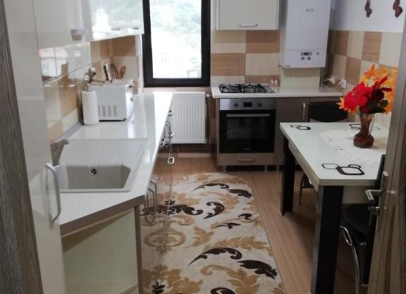 Apartament Ioana