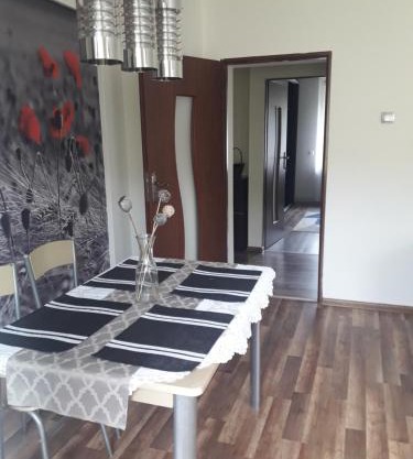 Apartament u Dany Las wita Was w otoczeniu gór i dzikiej przyrody