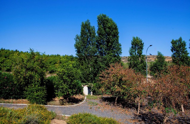 Apartamentos El Chorrilllo