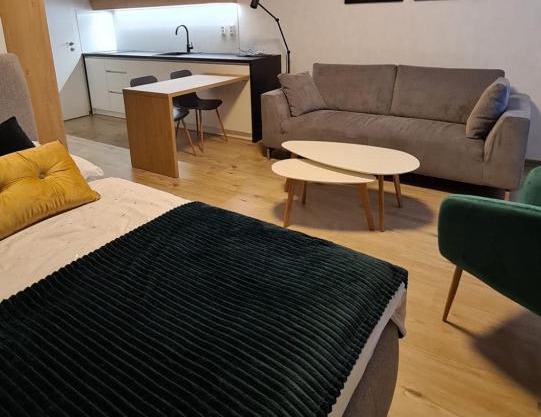 Apartmán Hestia 5