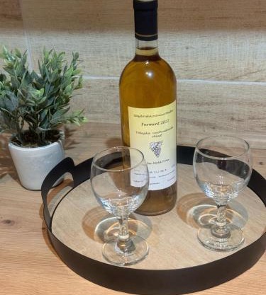 Apartmán vo vidieckom dome